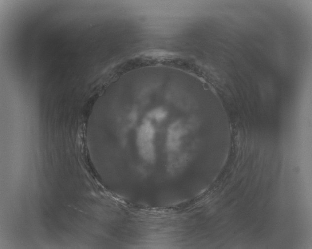 X0000083071397200702091518