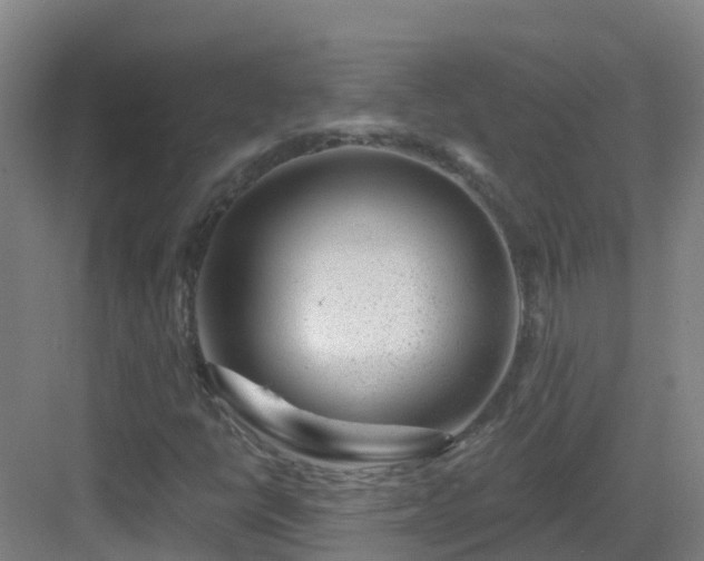 X0000083071398200702091518