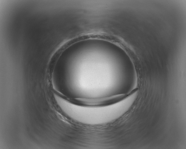 X0000083071400200702091518