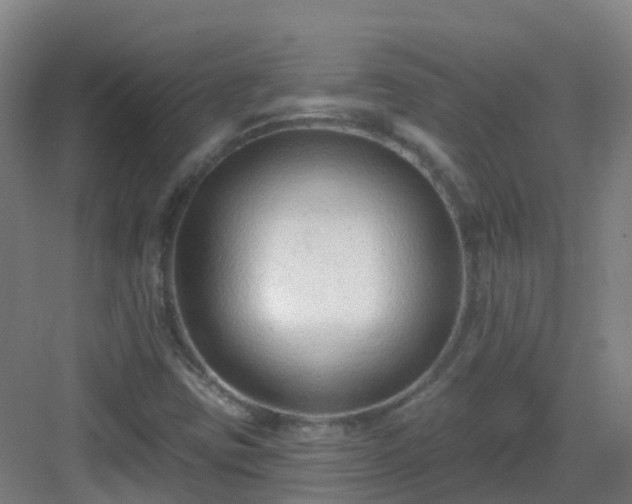 X0000083071403200702091518