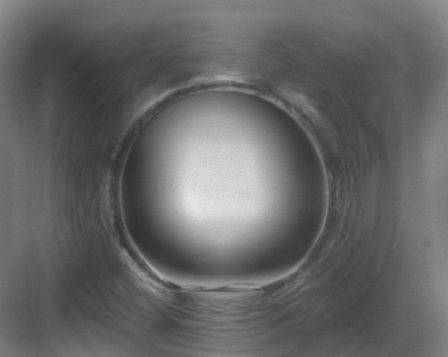 X0000083071404200702091518