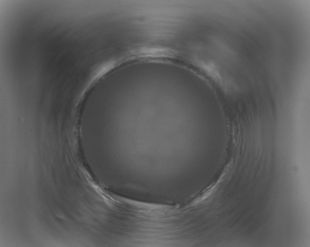 X0000083071405200702091518