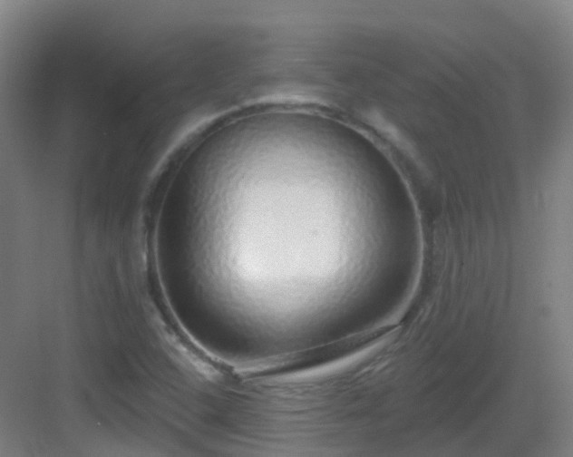 X0000083071408200702091518