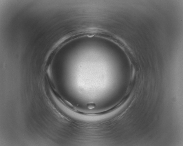 X0000083071410200702091518