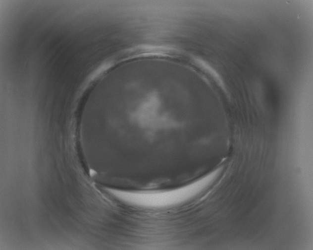 X0000083071411200702091518