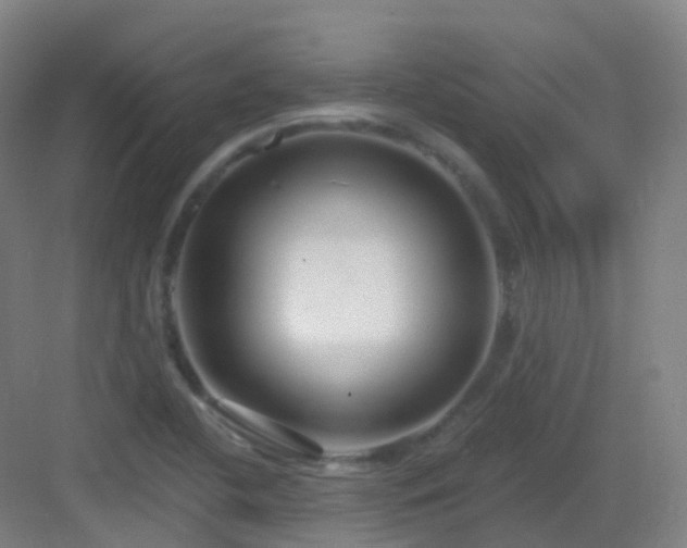 X0000083071412200702091518