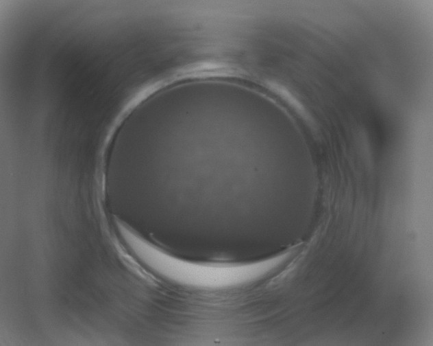 X0000083071413200702091518