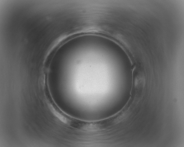 X0000083071414200702091518