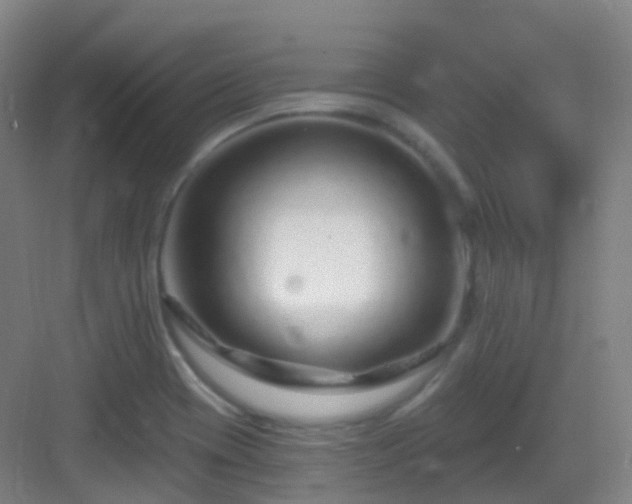 X0000083071417200702091518