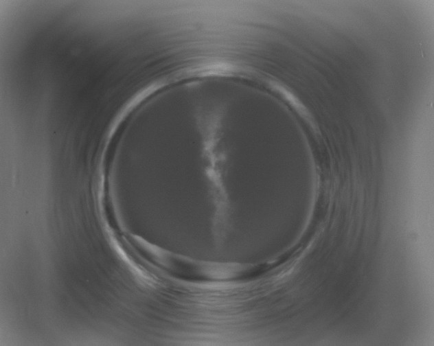 X0000083071418200702091518