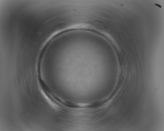 X0000083071422200702091518