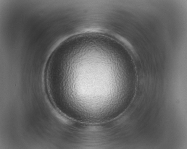 X0000083071423200702091519