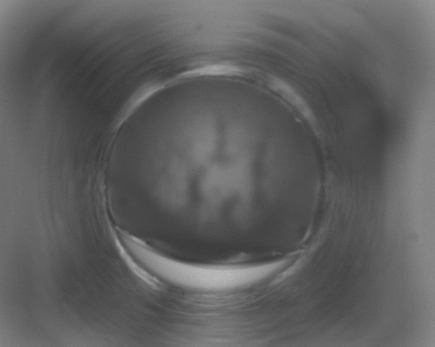 X0000083071425200702091519