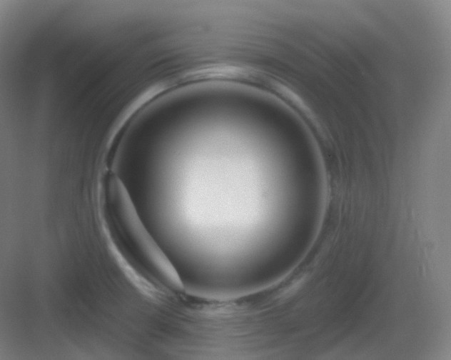 X0000083071426200702091519