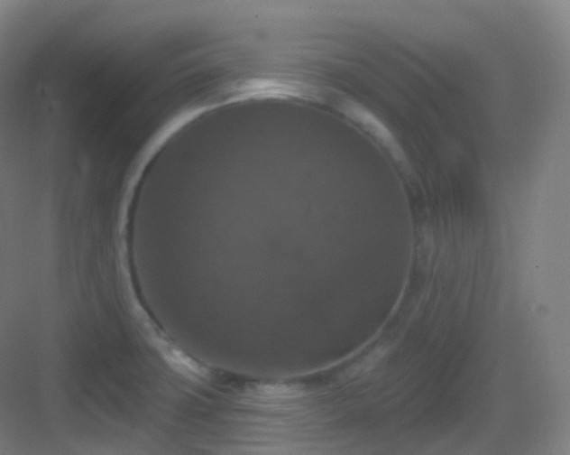 X0000083071427200702091519