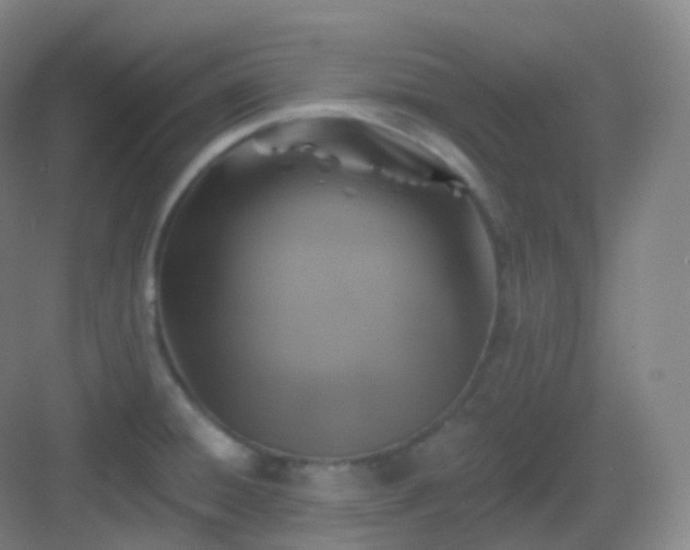 X0000083071428200702091519