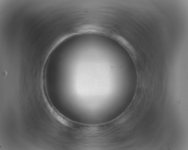 X0000083071431200702091519