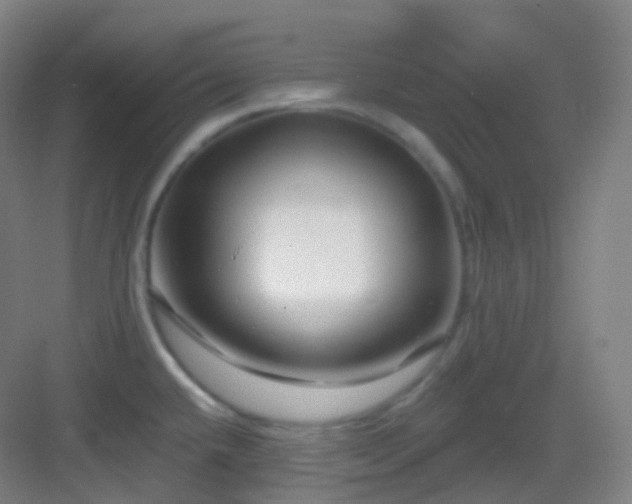 X0000083071432200702091519