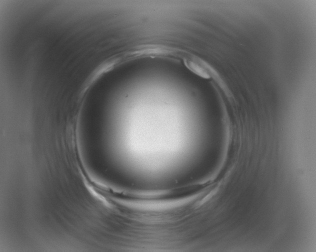 X0000083071433200702091519