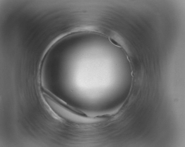 X0000083071436200702091519