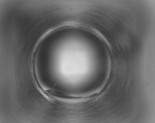X0000083071437200702091519