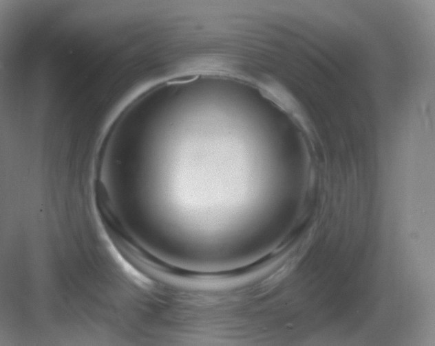 X0000083071438200702091519