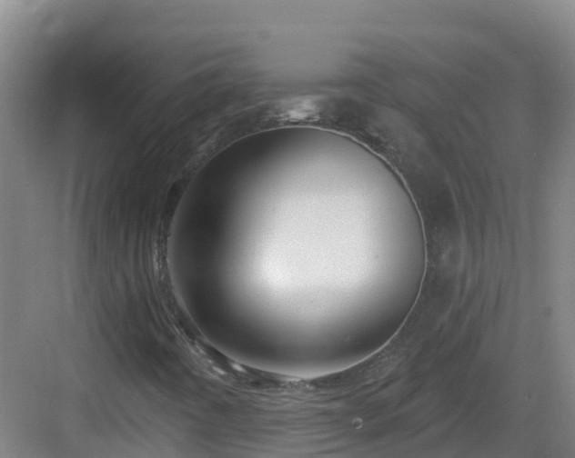 X0000083071442200702091518