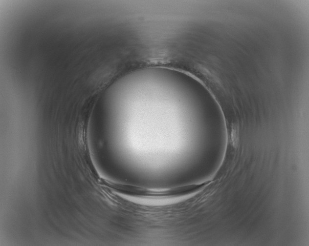X0000083071444200702091518