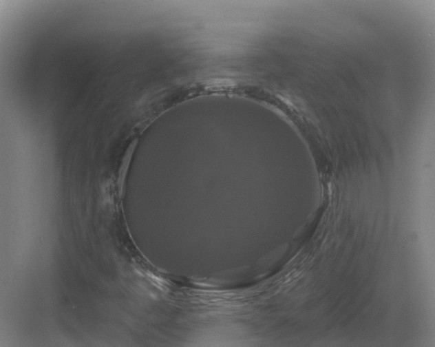 X0000083071445200702091518