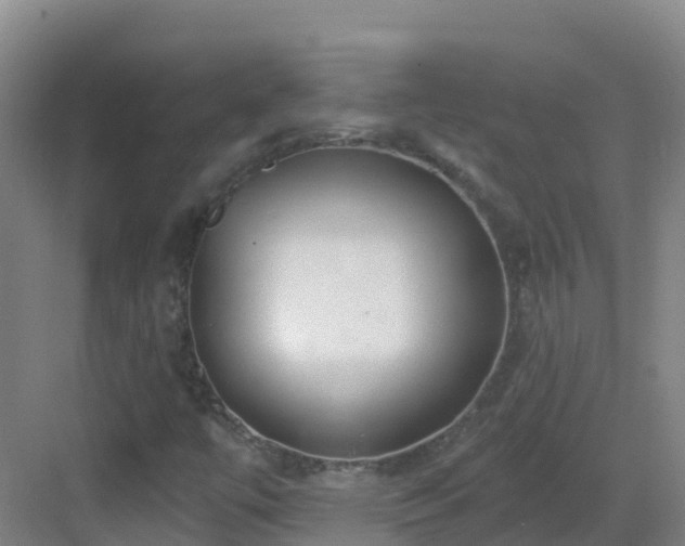 X0000083071447200702091518