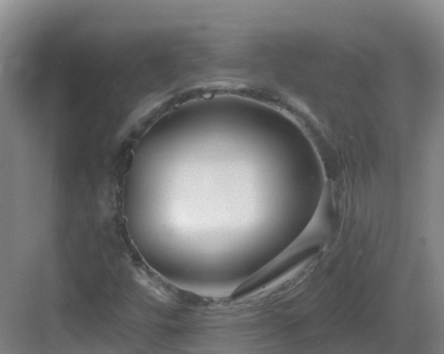 X0000083071448200702091518