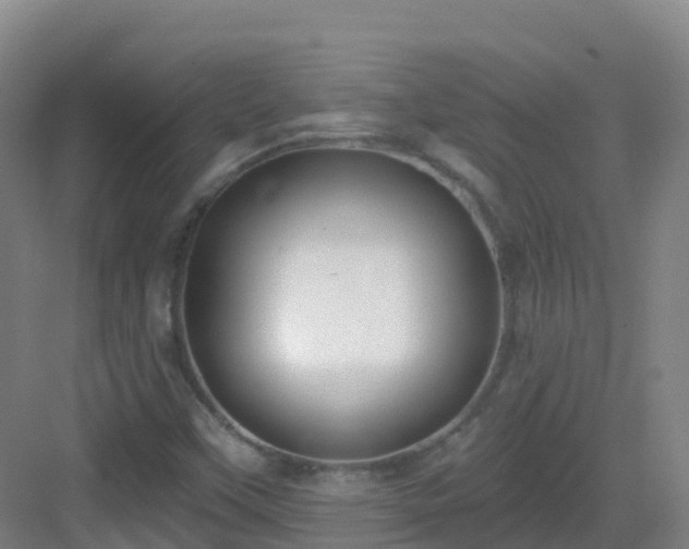 X0000083071451200702091518