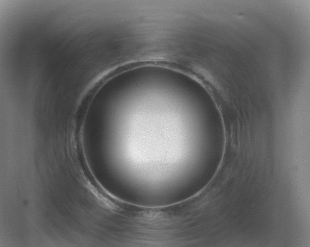 X0000083071452200702091518