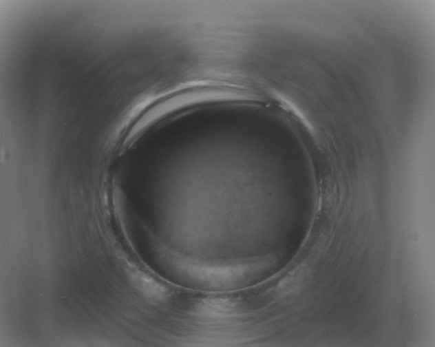 X0000083071455200702091518