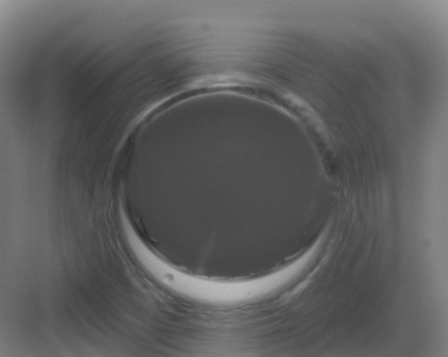 X0000083071457200702091518