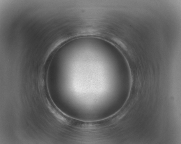 X0000083071458200702091518