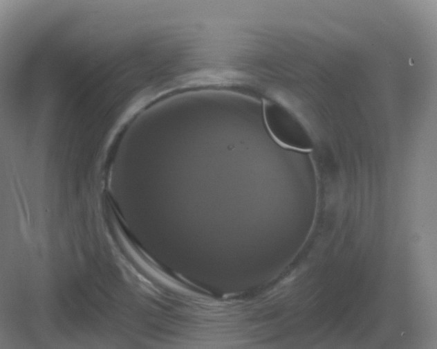 X0000083071459200702091518