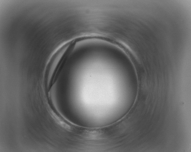 X0000083071460200702091518