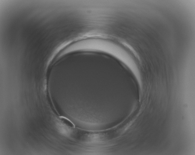 X0000083071461200702091518