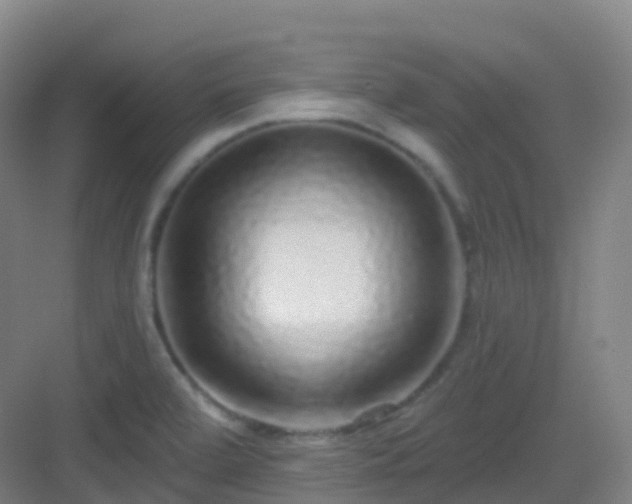X0000083071472200702091517