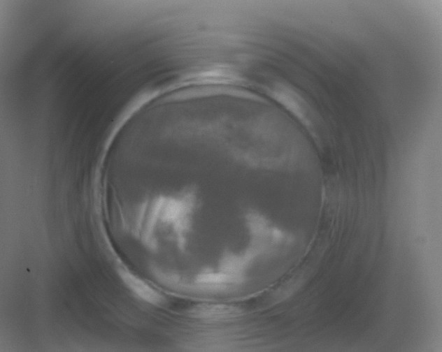 X0000083071474200702091517