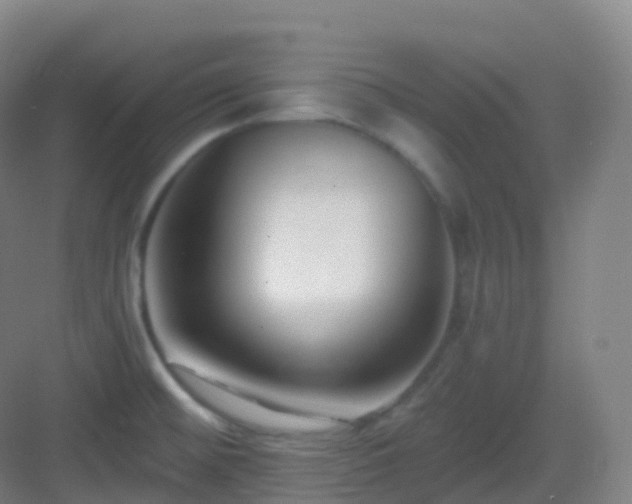 X0000083071476200702091517