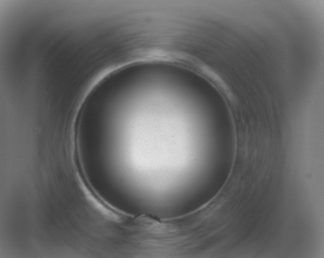 X0000083071479200702091517