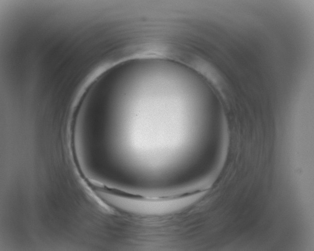 X0000083071480200702091517