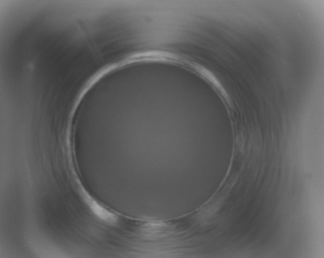 X0000083071482200702091517
