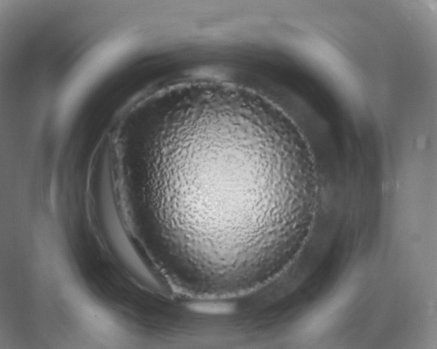 X0000083071487200702091517