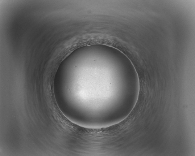 X0000083071489200702091516