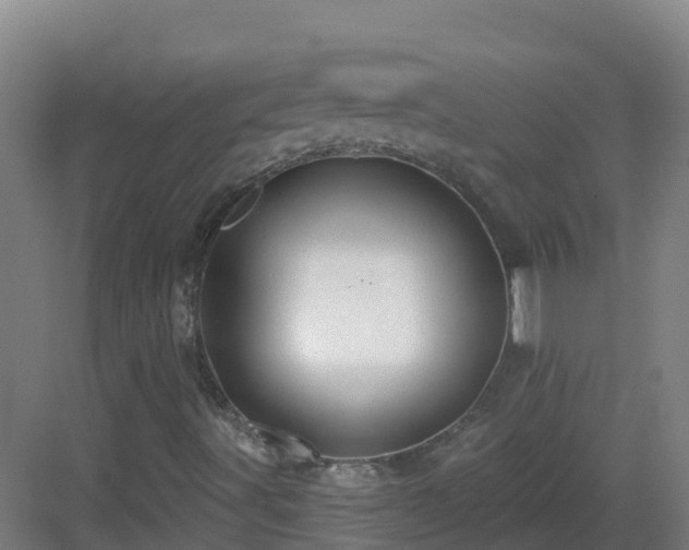 X0000083071491200702091516