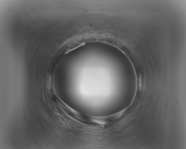 X0000083071492200702091516