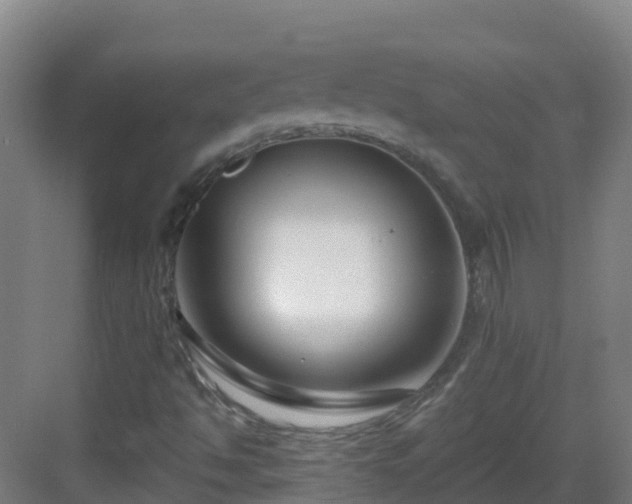 X0000083071494200702091516